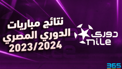 نتائج مباريات الدوري المصري