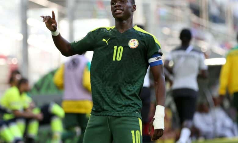 أمارا ضيوف - السنغال