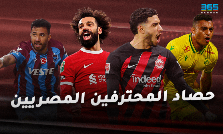 حصاد المحترفين المصريين