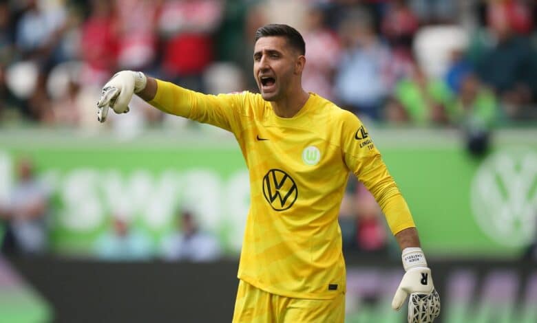 كوين كاستيلسن