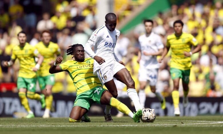 القنوات الناقلة لمباراة ليدز يونايتد ضد نورويتش