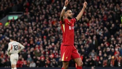 كودي جاكبو - ليفربول