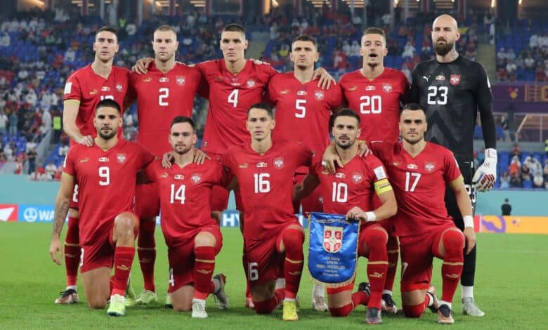 ألكسندر ميتروفيتش - سيرجي سافيتش - منتخب صربيا