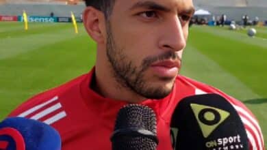 مصطفى شوبير