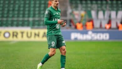 أسد الحملاوي - شلاسك فروتسواف