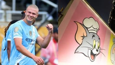 إيرلينج هالاند - (المصدر gettyimages)