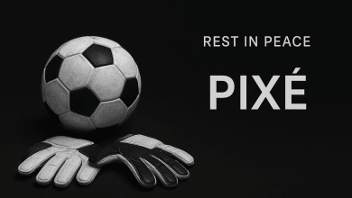 بيكسي - البرازيل - المصدر: ChatGPT