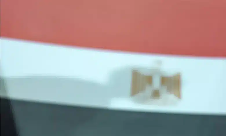 ما القناة الناقلة لمباراة مصر وفنزويلا؟ وأين تشاهد مباريات كأس العالم للناشئين مجانًا؟