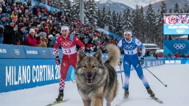كلب يقتحم سباق التزلج - المصدر gemini