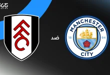 مانشستر سيتي ضد فولهام