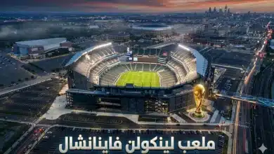 ملعب لينكون فاينانشال فيلد - جيمناي