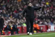 روبرتو دي زيربي مدرب توتنهام - المصدر (Getty images)