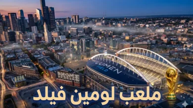 ملعب لومين فيلد - جيميناي