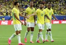 من هو الهداف التاريخي لمنتخب البرازيل في كأس العالم؟