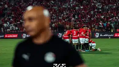 حسام حسن - منتخب مصر