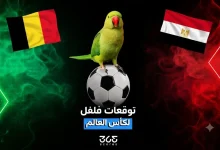 العصفور فلفل يتوقع الفائز من مباراة مصر وبلجيكا