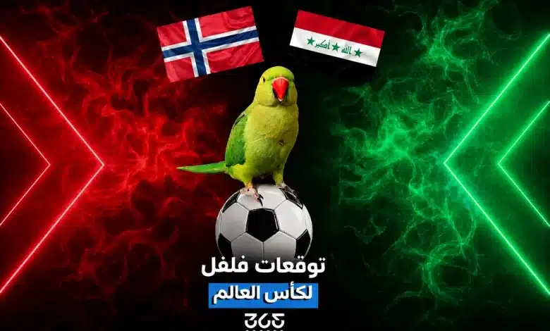 العصفور فلفل يتوقع الفائز من مباراة العراق ضد النرويج في كأس العالم 2026