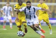 نبيل فقير لاعب الجزيرة الإماراتي