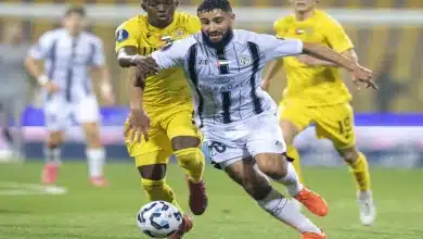 نبيل فقير لاعب الجزيرة الإماراتي