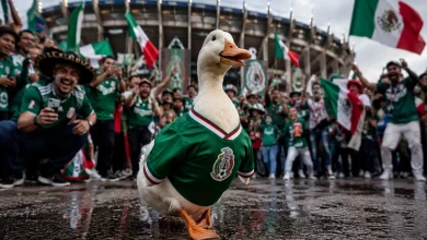 مرتدية قميص المنتخب.. شاهد بطة تشجع المكسيك في كأس العالم 2026 - المصدر: شات جي بي تي
