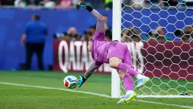 أورلاندو جيل حارس باراجواي - المصدر (Getty images)