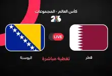 قطر ضد البوسنة والهرسك