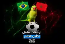 العصفور فلفل يتوقع نتيجة مباراة المغرب ضد البرازيل