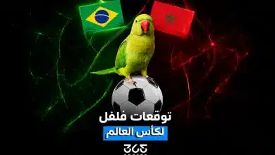 العصفور فلفل يتوقع نتيجة مباراة المغرب ضد البرازيل