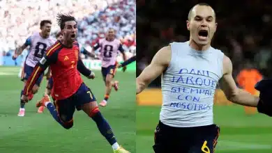 فيران توريس - أندريس إنييستا - منتخب إسبانيا