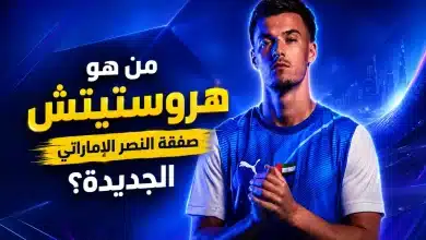 هروستيتش صفقة النصر الإماراتي الجديدة