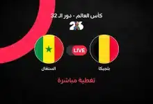 مباشر مباراة بلجيكا ضد السنغال