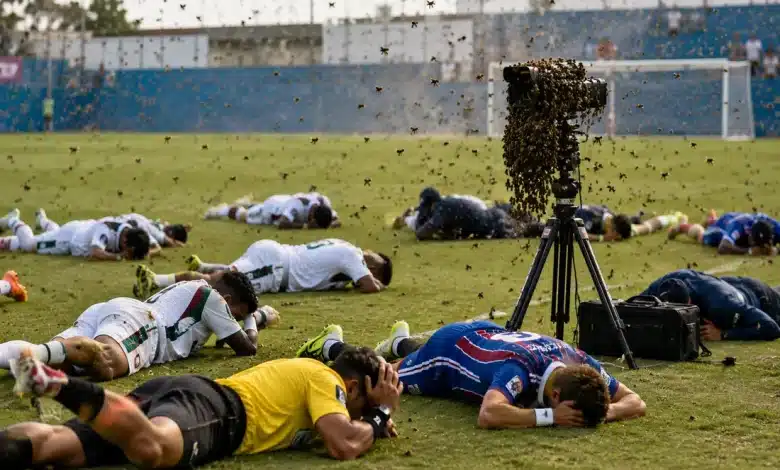 شاهد.. سرب نحل يقتحم مباراة في البرازيل ويجبر اللاعبين على الارتماء أرضًا! - المصدر: شات جي بي تي
