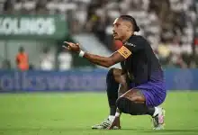 رافينيا