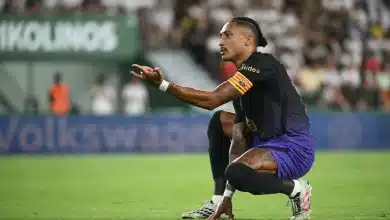 رافينيا