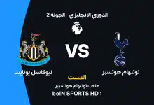 توتنهام ضد نيوكاسل يونايتد: الموعد والقنوات الناقلة وتشكيل الفريقين