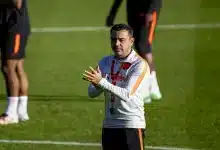 تشافي هيرنانديز - منتخب هولندا