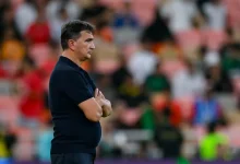زلاتكو داليتش - منتخب الإمارات